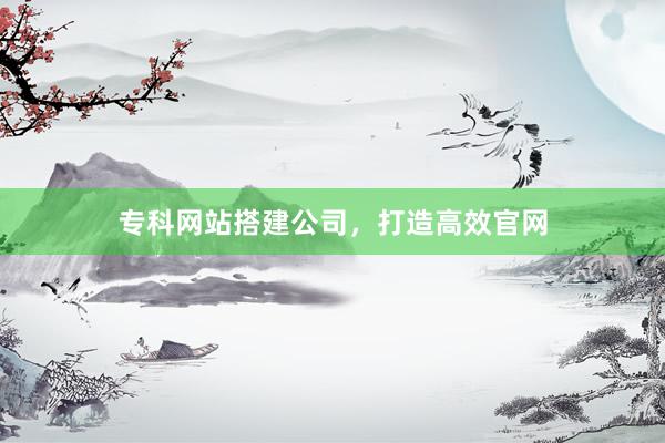 专科网站搭建公司，打造高效官网