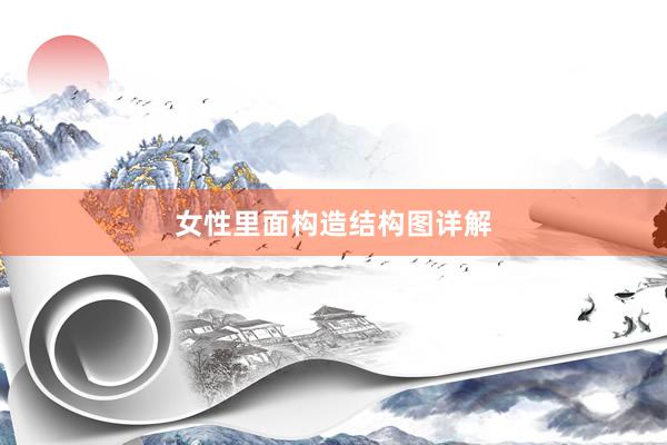 女性里面构造结构图详解
