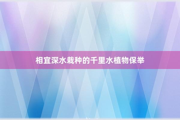 相宜深水栽种的千里水植物保举